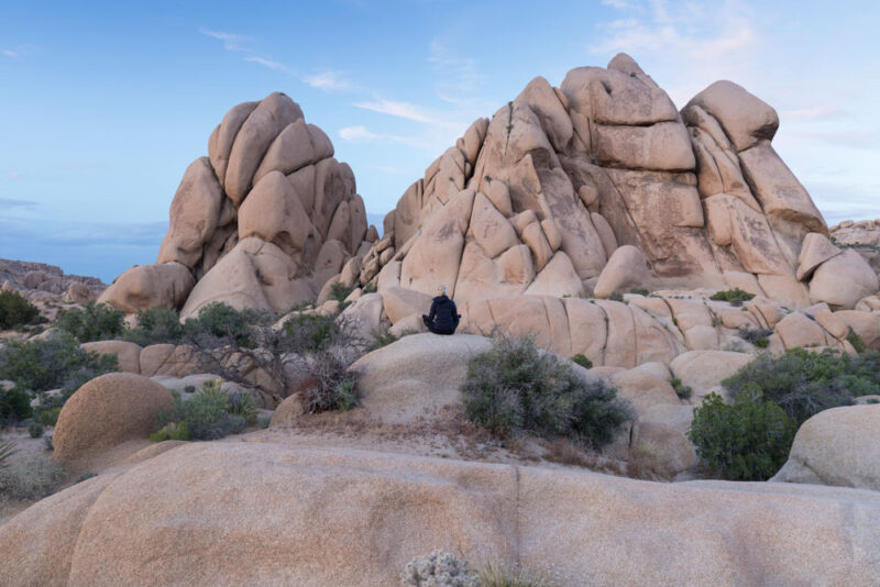 What National Parks to Visit during Fall: Joshua Tree National Park