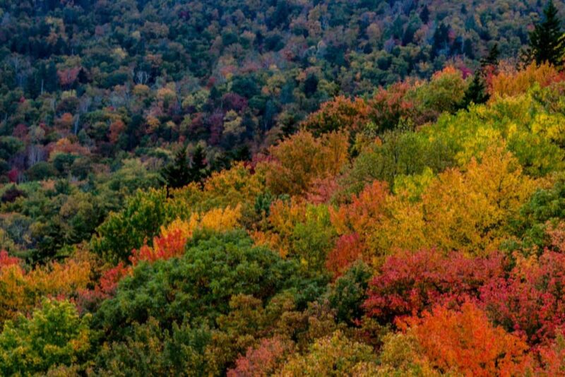 What Places Have Shoulder Season in USA in November: Asheville, North Carolina