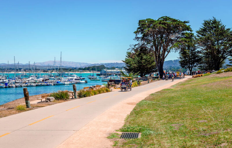 What to do in Monterey: Monterey Bay Coastal Recreation Trail
