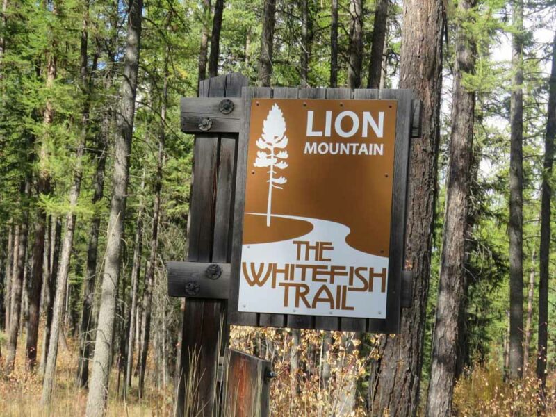 What to do in Whitefish, Montana: Whitefish Trail
