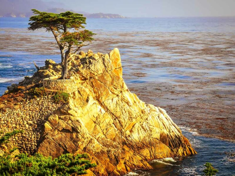 Where to Stay in Monterey, California: Best Boutique Hotels