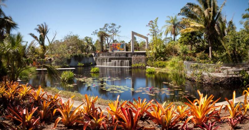 Best Things to do in Naples, Florida: Naples Botanical Garden
