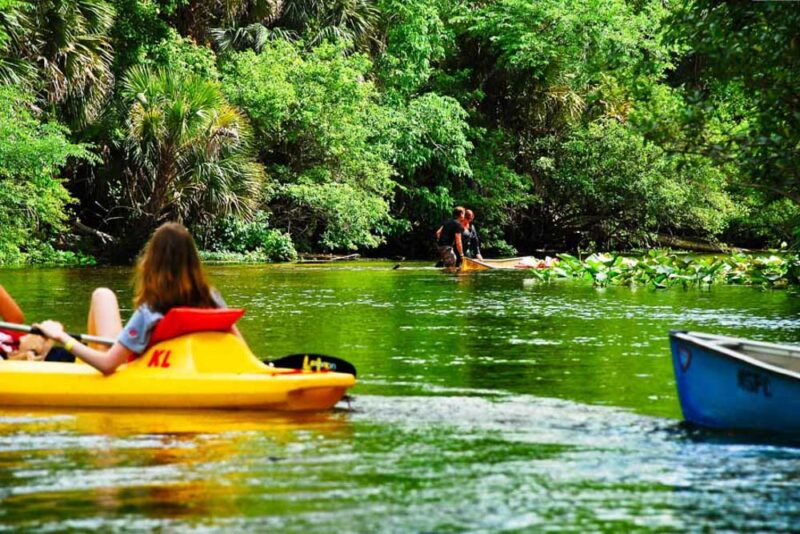 Best Things to do in Orlando, Florida: Rock Springs