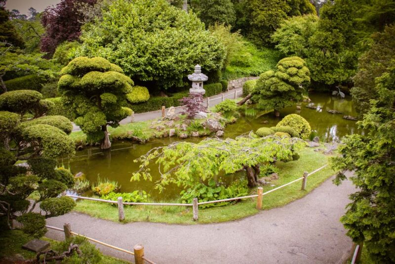 Best Things to do in San Francisco: Japanese Tea Garden