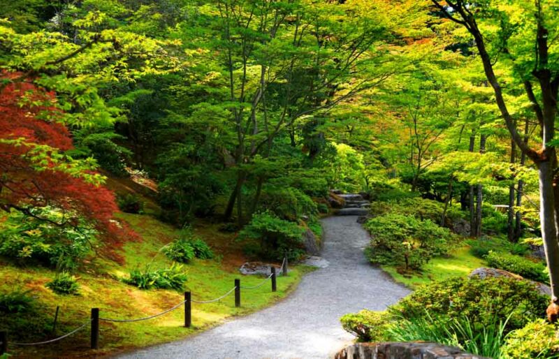 Best Things to do in Seattle, Washington: Seattle Japanese Garden