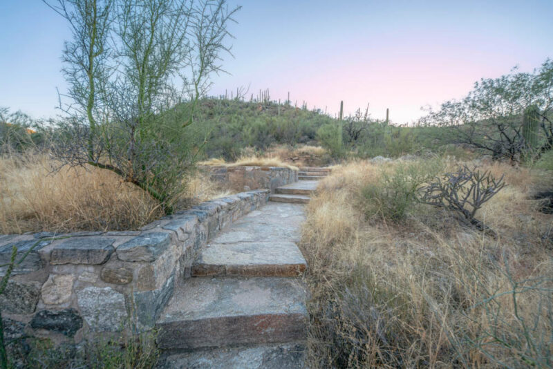 Best Things to do in Tucson: Catalina State Park
