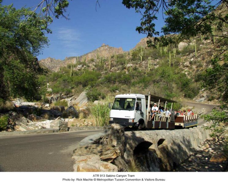 Best Things to do in Tucson: Sabino Canyon Tram