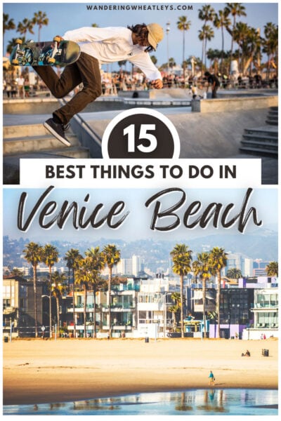 Best Things to do in Venice Beach