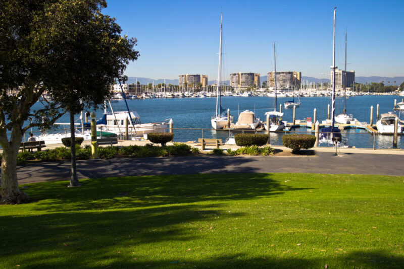 Cool Things to do in Los Angeles: Marina del Rey