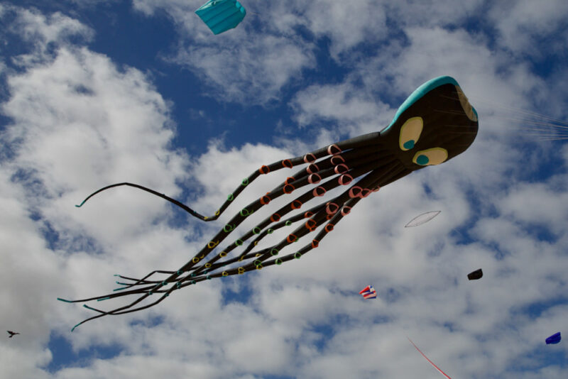 Cool Things to do in Morro, Bay: Morro Bay Kite Festival