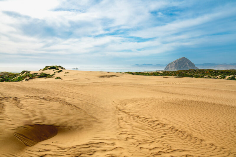 Cool Things to do in Morro, Bay: Spend a Day at the Beach