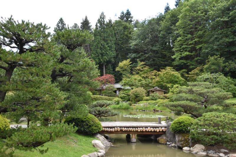 Cool Things to do in Seattle, Washington: Seattle Japanese Garden