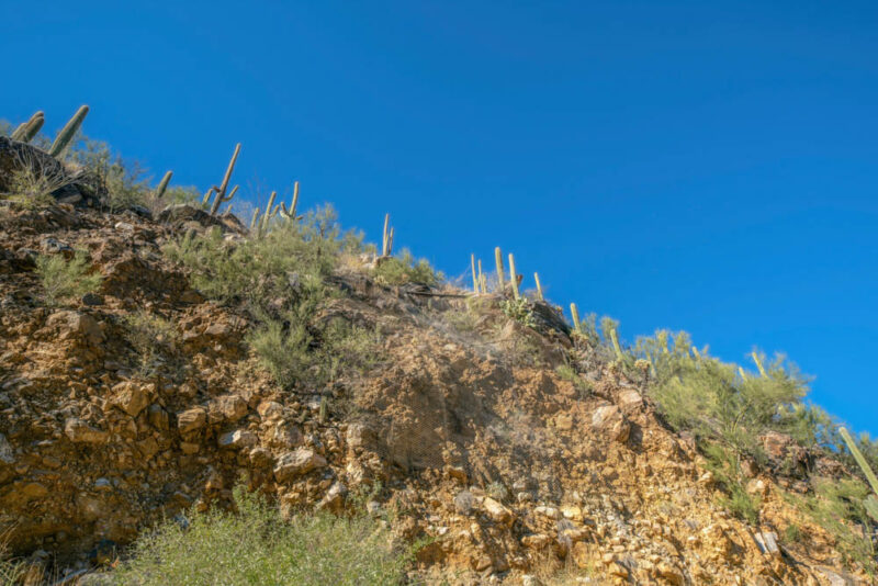 Cool Things to do in Tucson: Catalina State Park