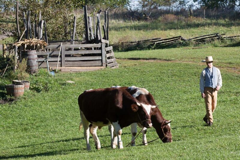 Fun Things to do in Des Moines, Iowa: Living History Farms