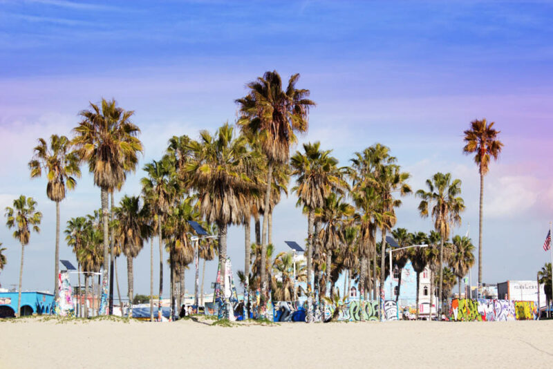 Fun Things to do in Los Angeles: Venice Beach