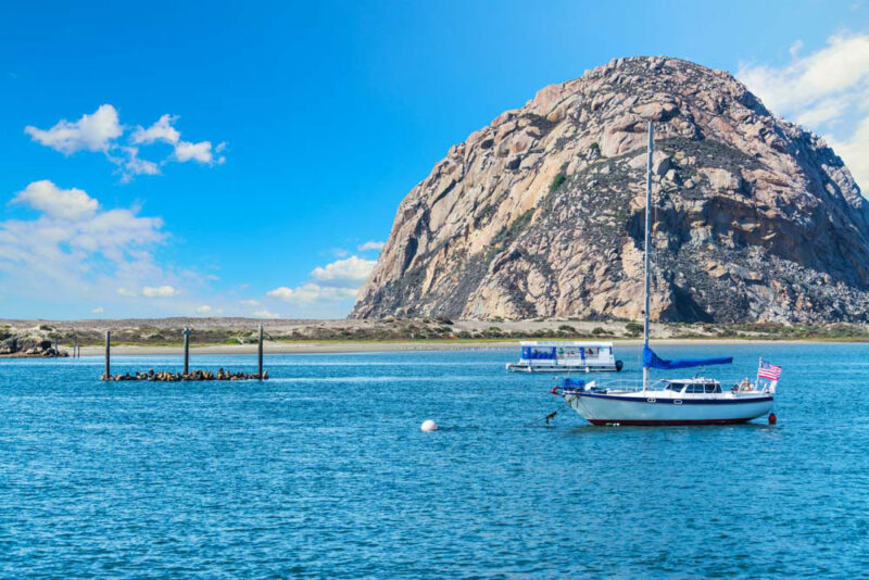 Fun Things to do in Morro, Bay: Look for Otters around Morro Rock