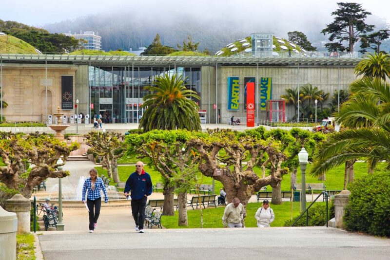 Fun Things to do in San Francisco: California Academy of Sciences