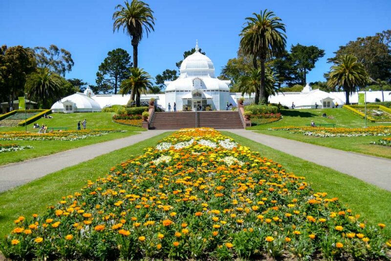 Fun Things to do in San Francisco: Conservatory of Flowers