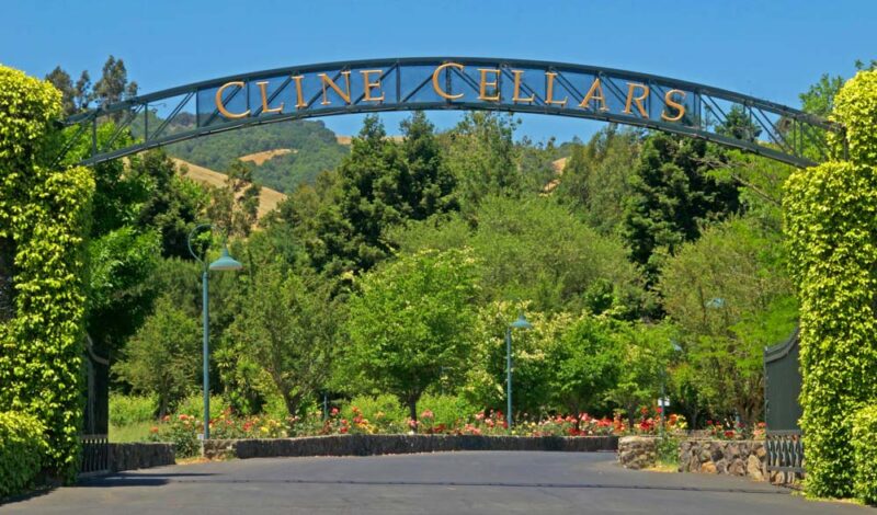 Fun Things to do in Sonoma: Cline Family Cellars
