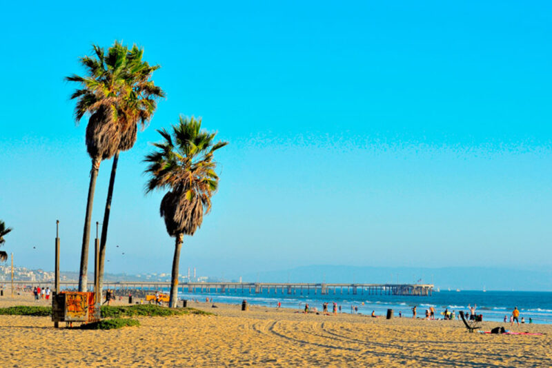 Must do things in Los Angeles: Venice Beach
