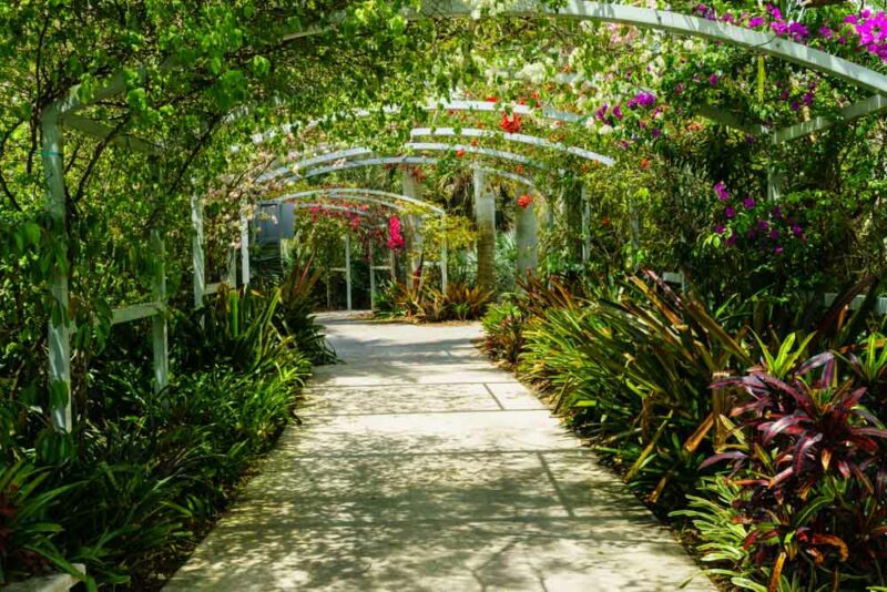 Naples, Florida Things to do: Naples Botanical Garden