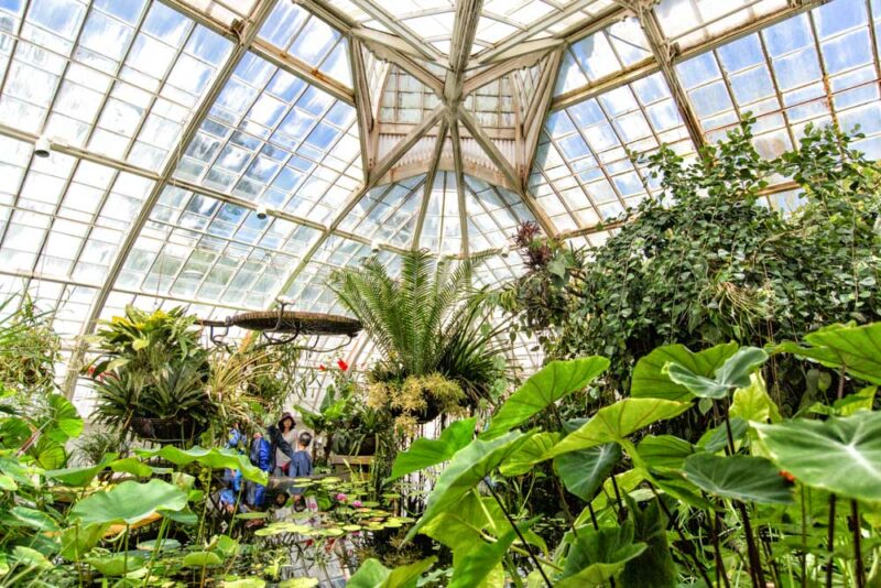 San Francisco Things to do: Conservatory of Flowers