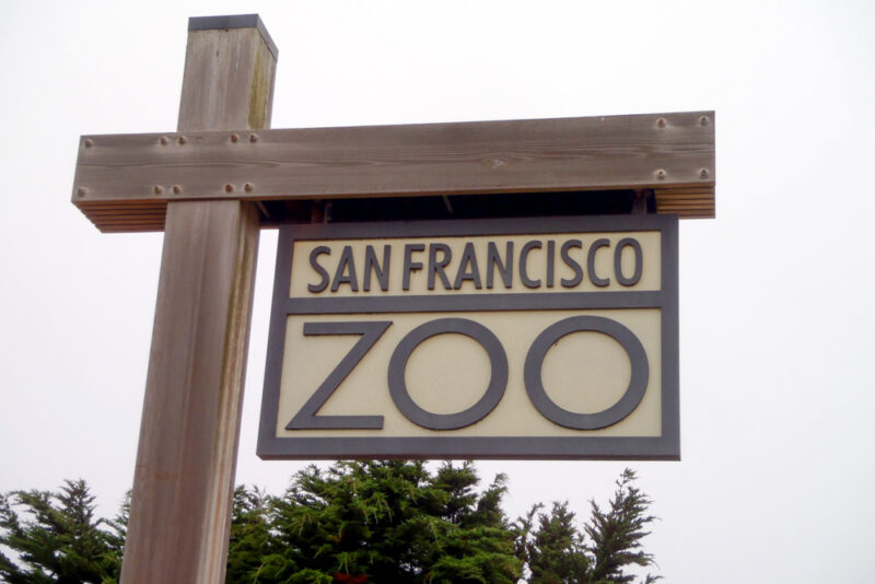 San Francisco Things to do: San Francisco Zoo