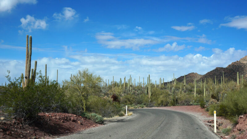 Tucson Things to do: Arizona-Sonora Desert Museum