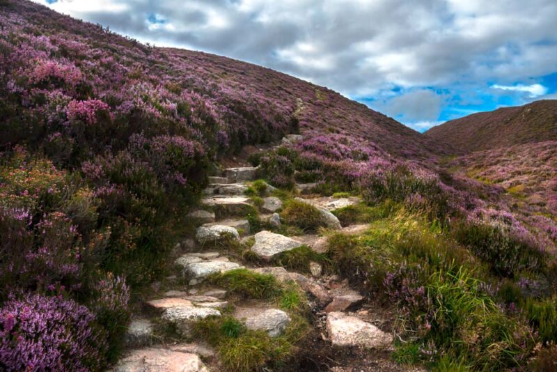 Unique Things to do in Aberdeen: Cairngorms National Park