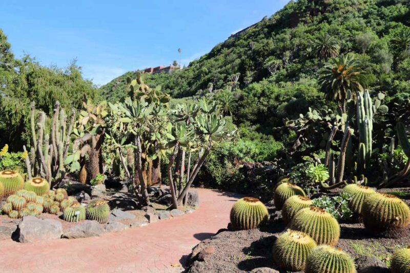 Unique Things to do in Gran Canaria, Spain: Jardín Botánico Viera y Clavijo
