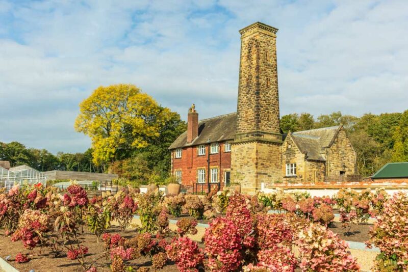 Unique Things to do in Manchester, England: RHS Bridgewater Gardens

