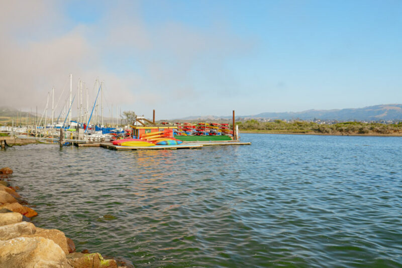 Unique Things to do in Morro, Bay: Kayak around Morro Bay