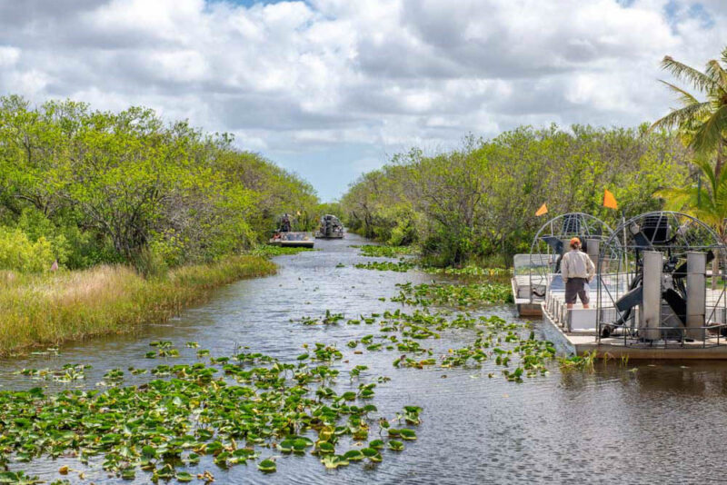 Unique Things to do in Orlando, Florida: Everglades