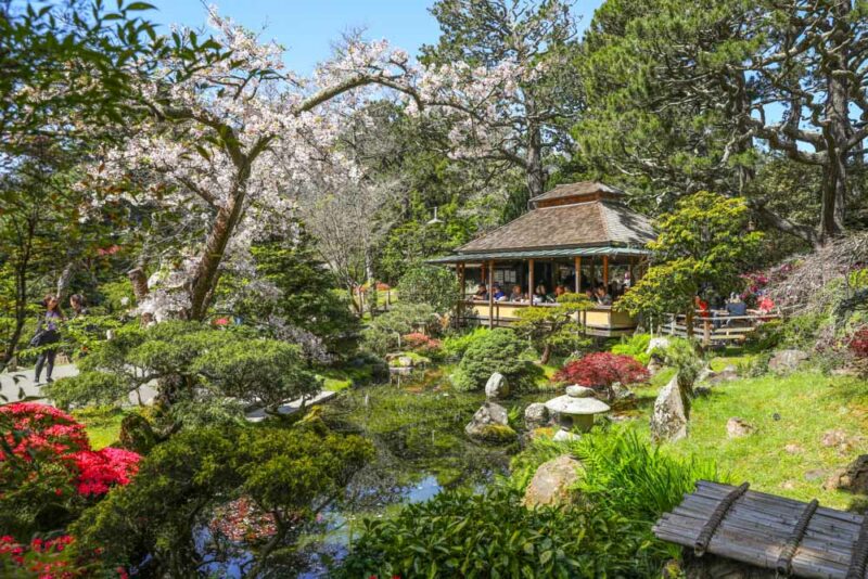 Unique Things to do in San Francisco: Japanese Tea Garden