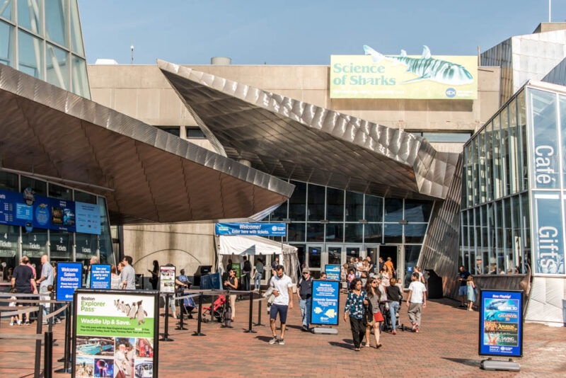 3 Days in Boston Itinerary: New England Aquarium