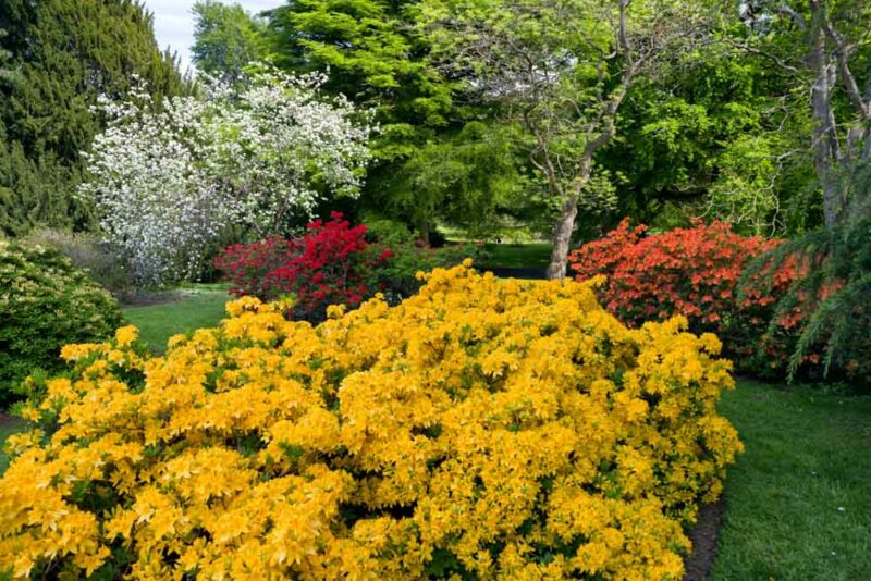 3 Days in Edinburgh Itinerary: Royal Botanic Garden Edinburgh