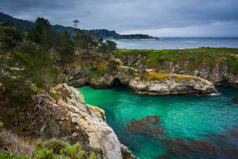 3 Days in Monterey, California Weekend Itinerary: Point Lobos State Natural Reserve