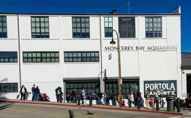 3 Days in Monterey Itinerary: Monterey Bay Aquarium
