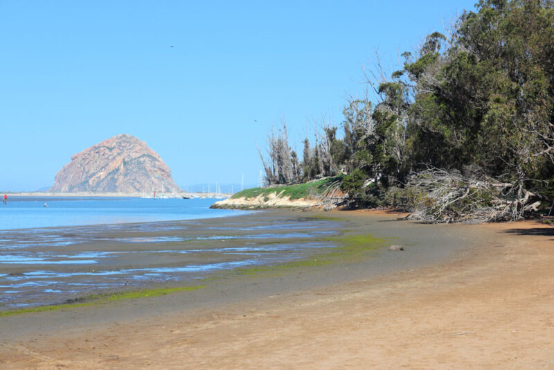 3 Days in Morro Bay, California Weekend Itinerary: Morro Bay State Park