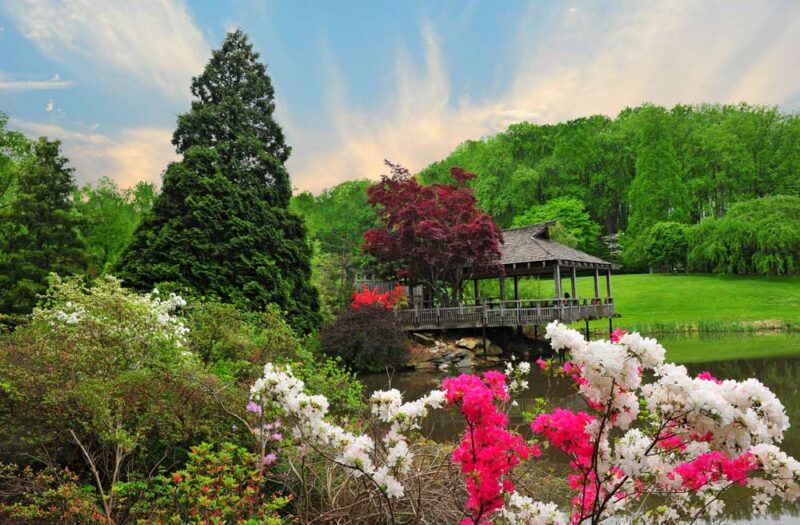 Best Things to do in Maryland: Brookside Gardens