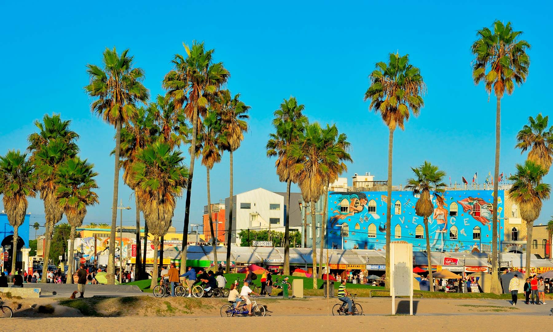The Best Things to do in Venice Beach, California