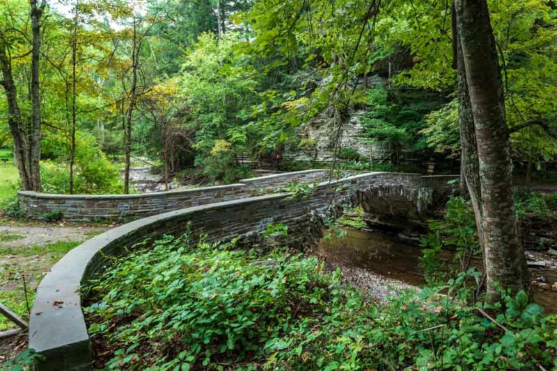 Cool Things to do in Ithaca: Robert Tremens State Park