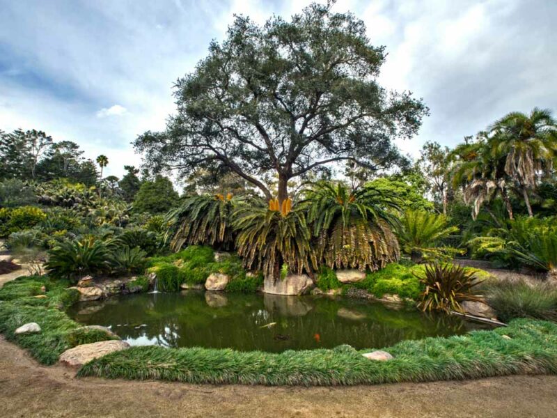 Cool Things to do in Santa Barbara, California: Lotusland