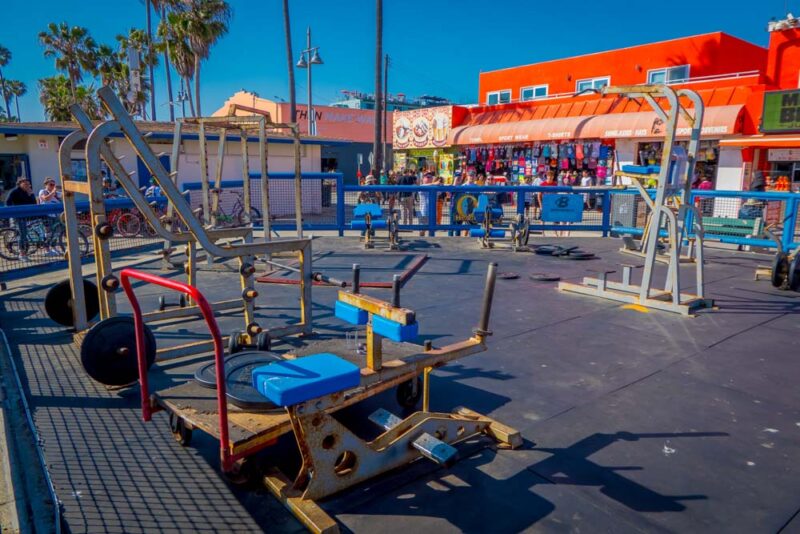 Cool Things to do in Venice Beach, California: Muscle Beach Venice