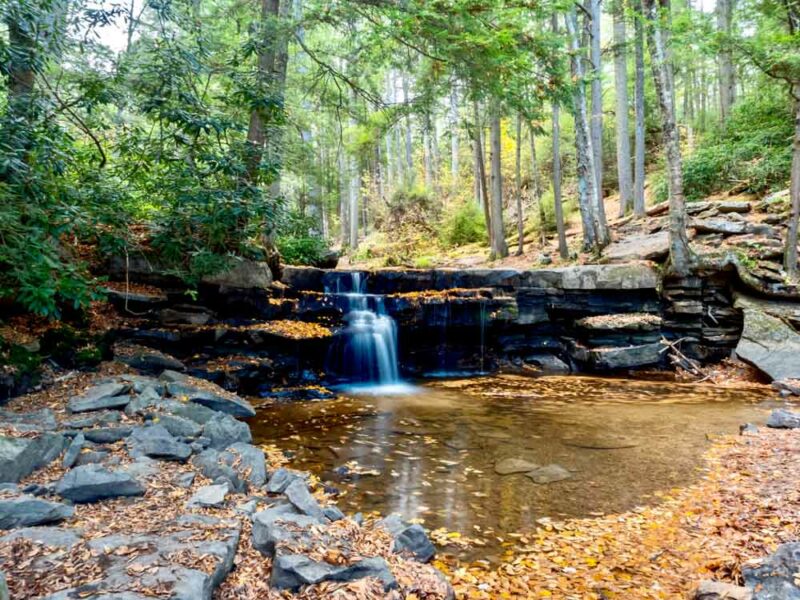 Fun Things to do in Maryland: Swallow Falls State Park
