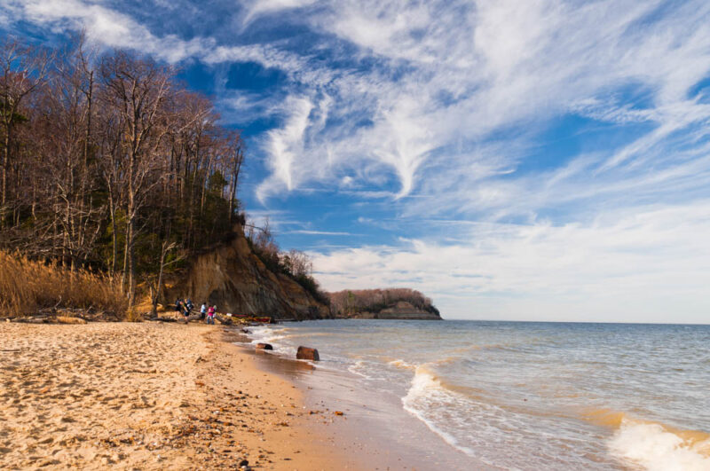 Maryland Things to do: Calvert Cliffs State Park
