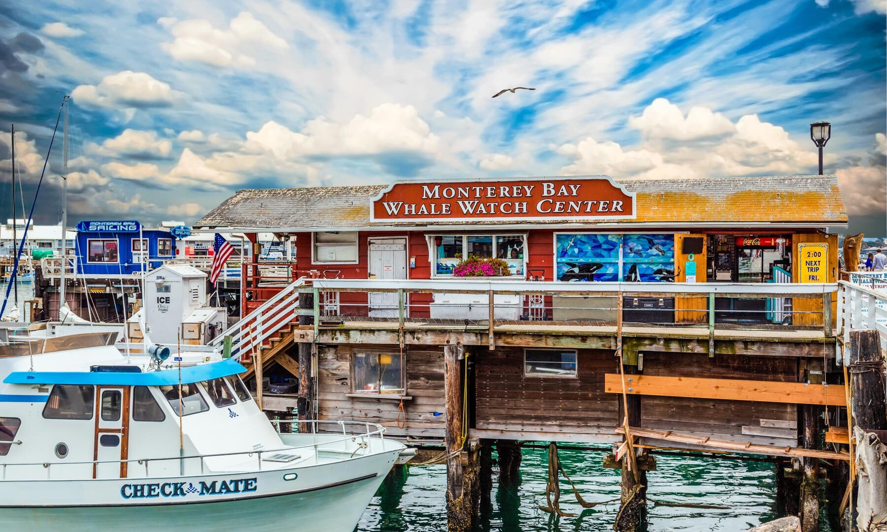Monterey Weekend Itinerary: What to see in 3 days