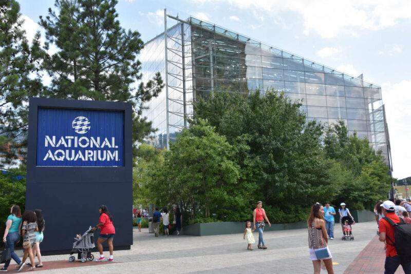 Must do things in Maryland: Baltimore's National Aquarium