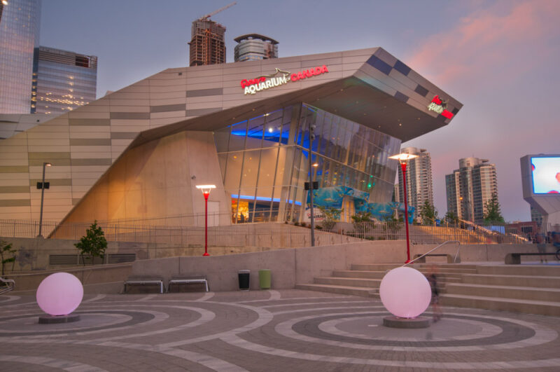 Must do things in Toronto: Ripley's Aquarium of Canada