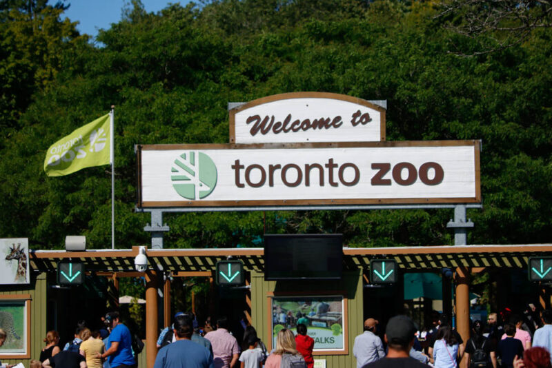 Toronto Bucket List: Toronto Zoo